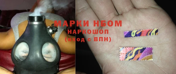 стаф Алзамай