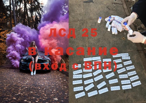 стаф Алзамай