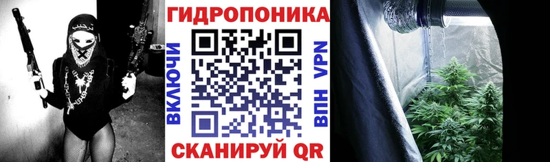 МАРИХУАНА индика  Динская 